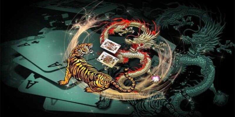 Tổng quát về Rồng Hổ - Dragon Tiger